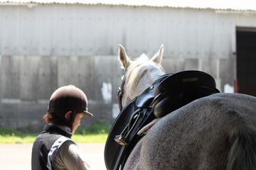 �w�����b�g�E�v���e�N�^�[