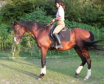 �u���b�N�ς�