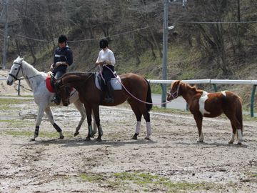 �e�R��ɂ�钲��