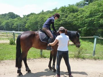 ���n��ɂ�郌�b�X�����i