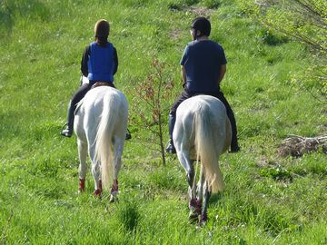 ��O�R��͔n���C�L�C�L���܂��ˁB