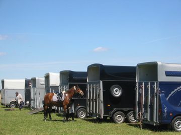 �g���[���[�ɂȂ��ꂽ�܂܂ł����ƂȂ����n