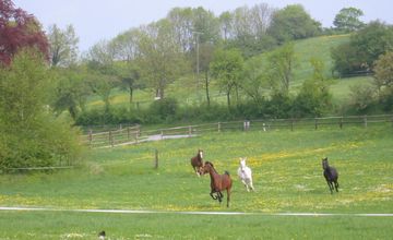 �h�C�c�K��